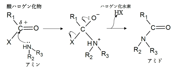 酸ハロゲン化物（塩化物）とアミンからアミド合成の反応機構　83回問9オ
